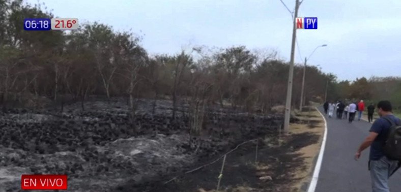 Resultado de imagen para Fuego arrasa con más de 17 hectáreas de Parque Guasu