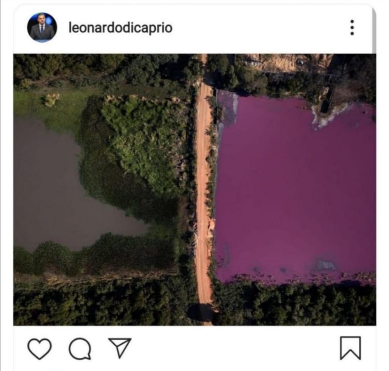 Leo Dicaprio alza la voz ante contaminaciÃ³n en laguna paraguaya